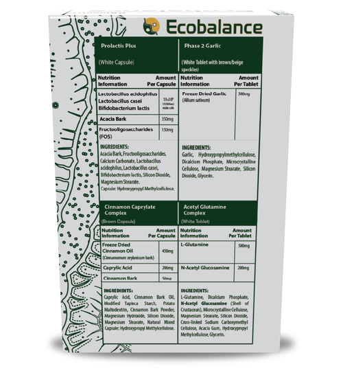Ecobalance - For Candida & Bacteria Overgrowth by Bionutri - Image 2