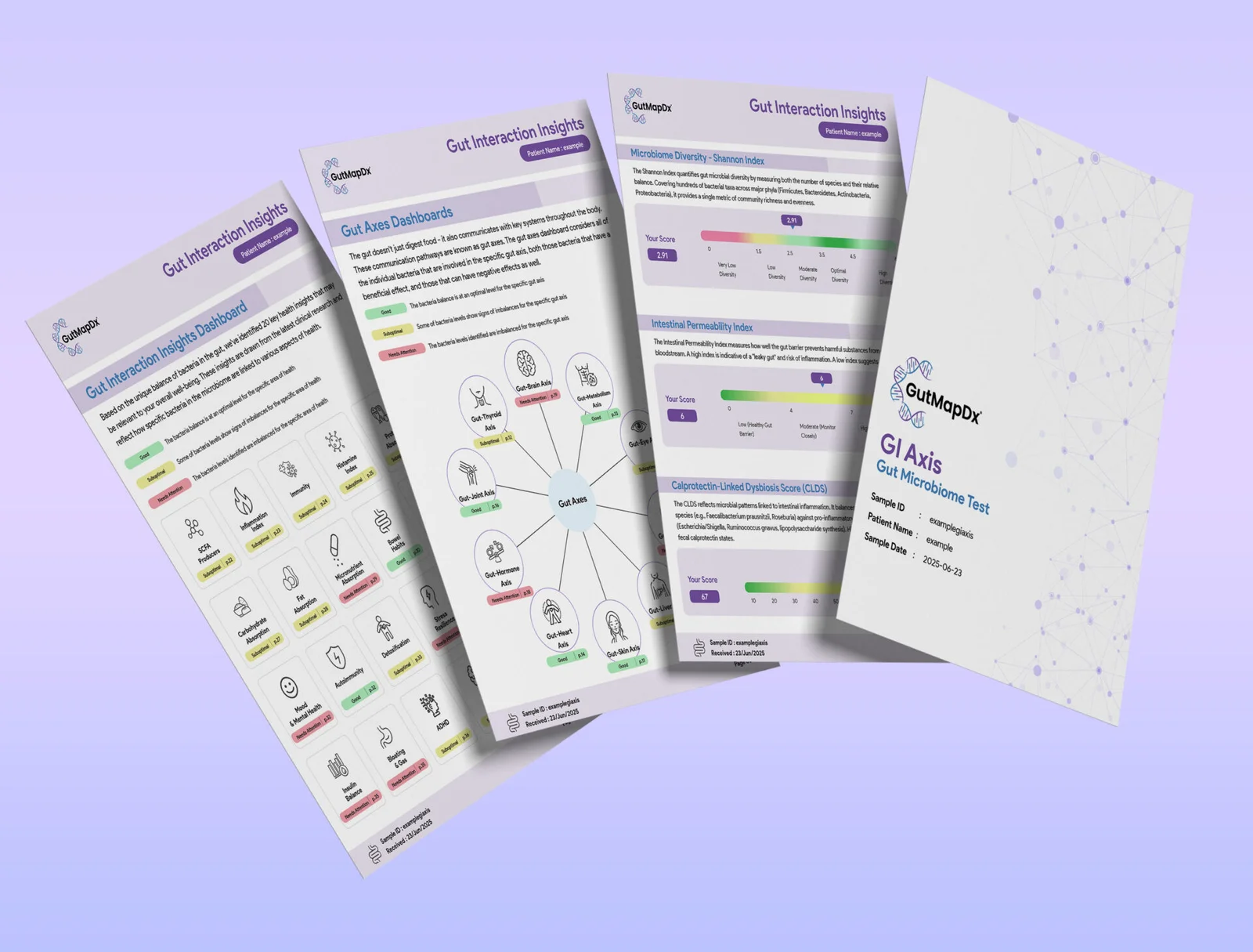 Gut Microbiome Test - GI Axis - Image 2