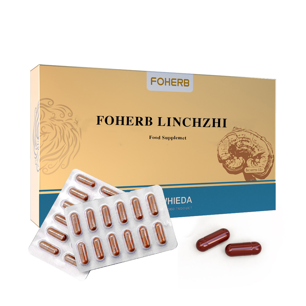Linchzhi Capsules - Image 2
